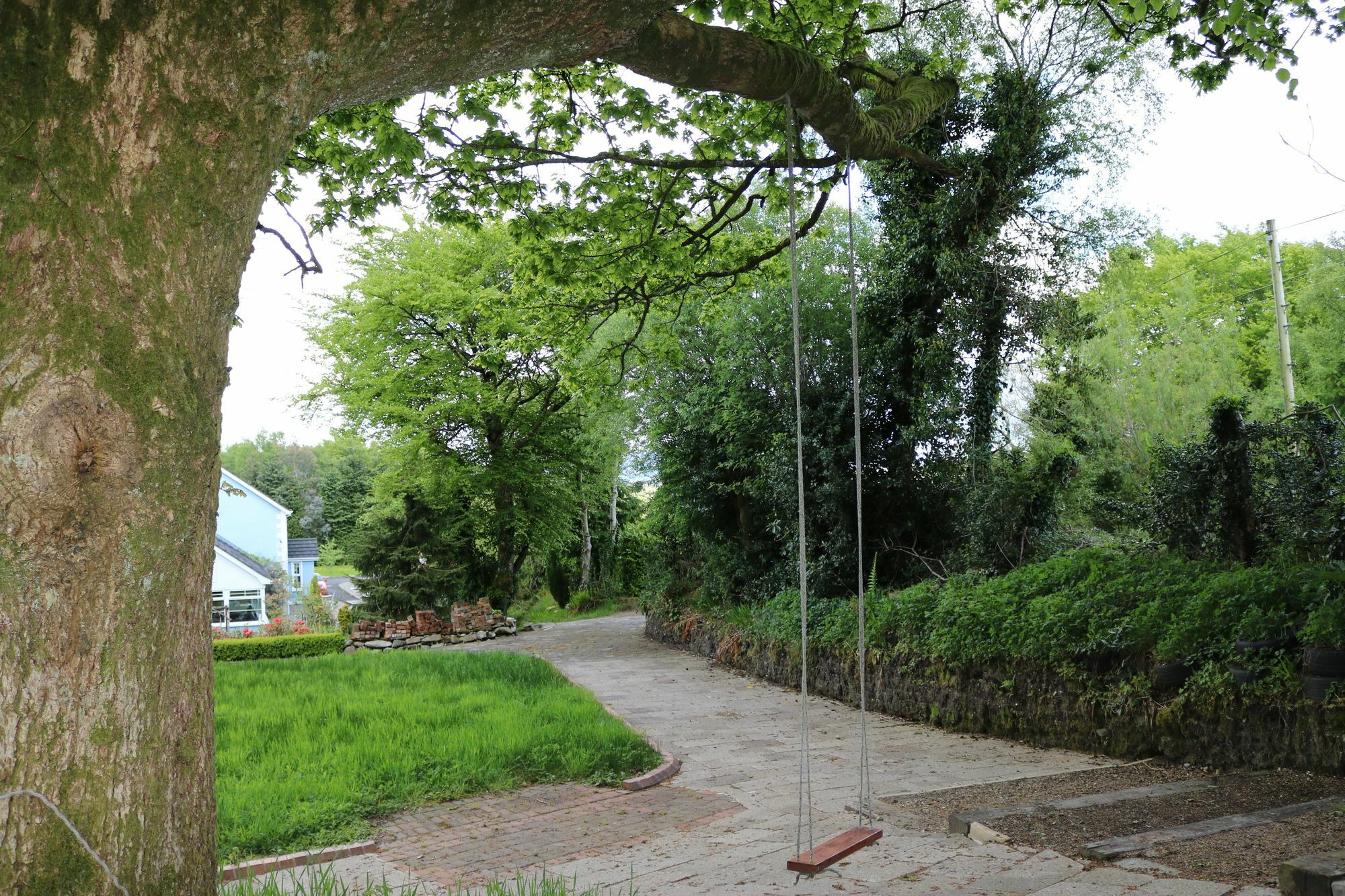 Bed and Breakfast Five Oaks Londonderry Exterior foto